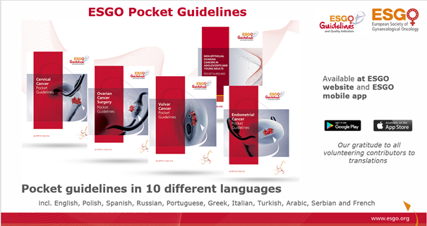 Guidelines_Languages